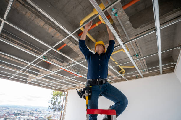 Best Commercial Plumbing Services  in Black Jack, MO